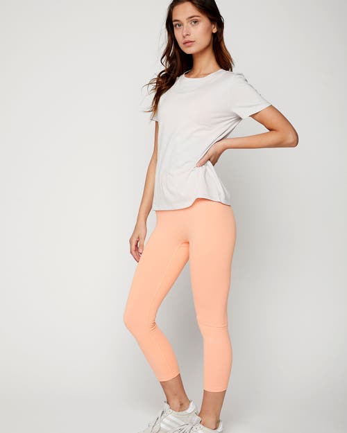 Rebody Active Pima Go Short Sleeve Top In Ice Grey