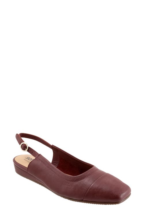 SoftWalk Vittoria Slingback Flat Mahogany at Nordstrom,