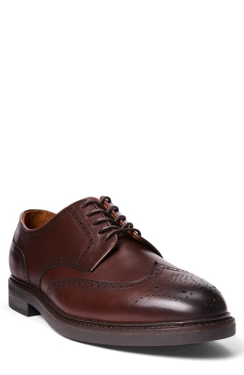 Shop Polo Ralph Lauren Asher Wingtip Oxford In Polo Brown