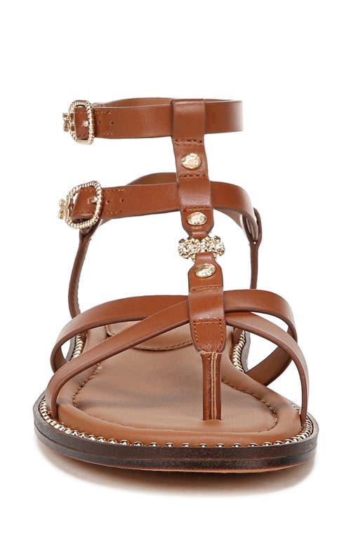 Sam Edelman Teeni Gladiator Sandal Cognac Brown Leather In Rich Cognac