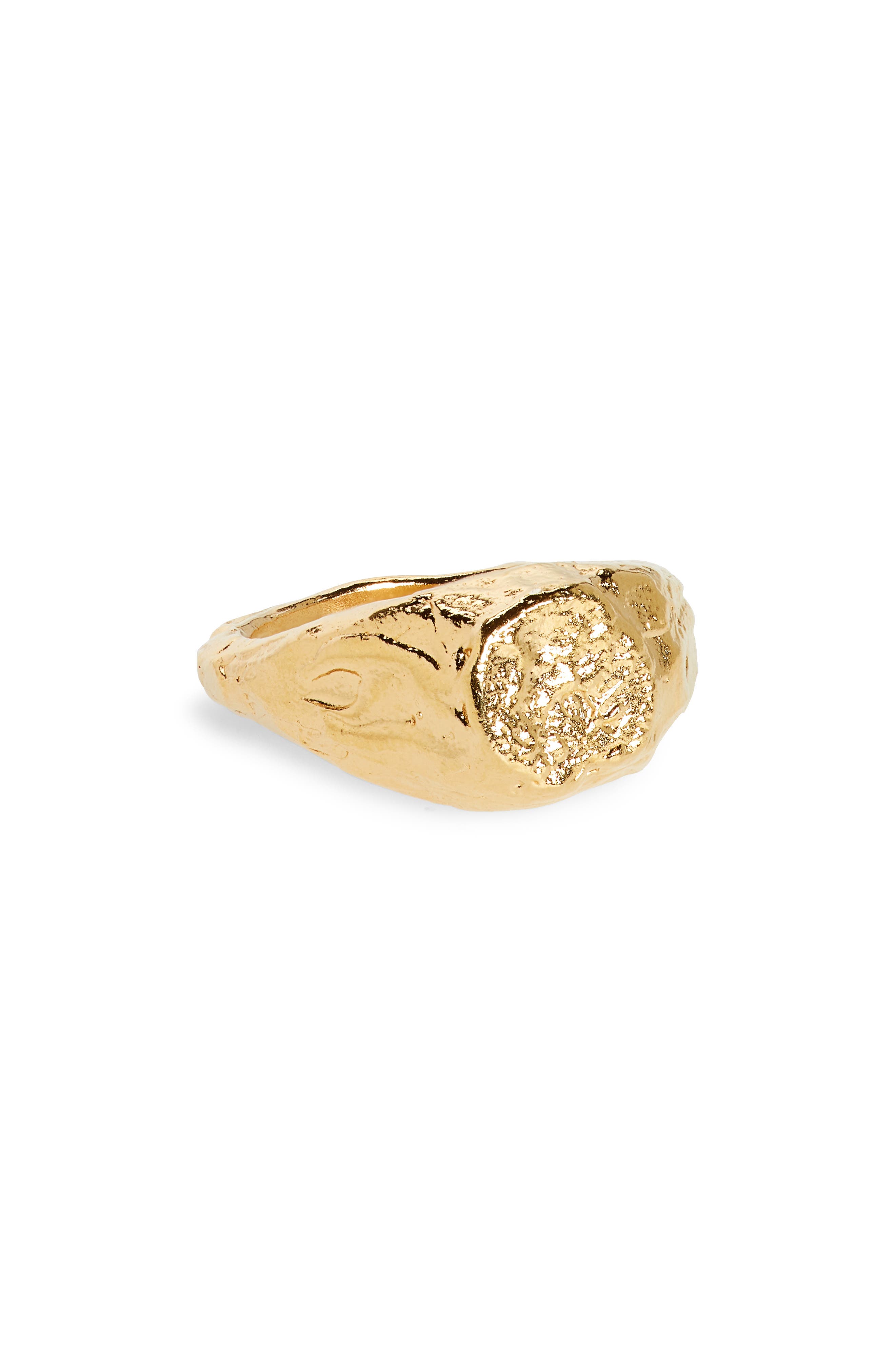 Alighieri Lion Signet Ring in Gold at Nordstrom
