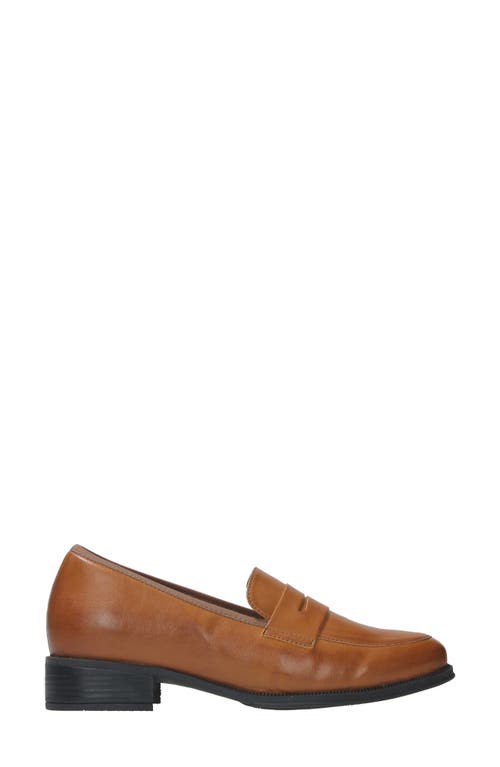 Shop Wolky Alabama F2f Penny Loafer In Brandy