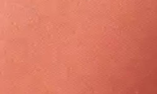 Stems Women's Avery Microfiber Italian Tights In Red