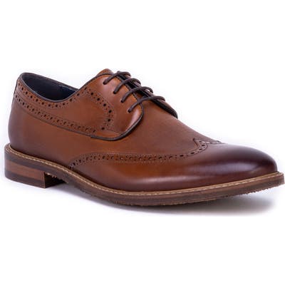 Zanzara Andy Wingtip, Brown