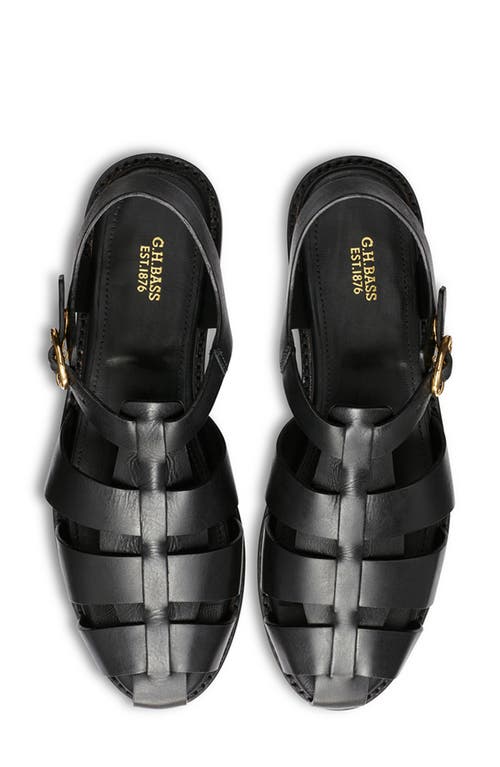 Shop G.h.bass Fisherman Sandal In Black