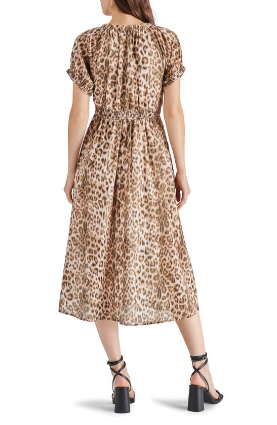 Shop Steve Madden Tahlia Animal Print Midi Dress In Leopard