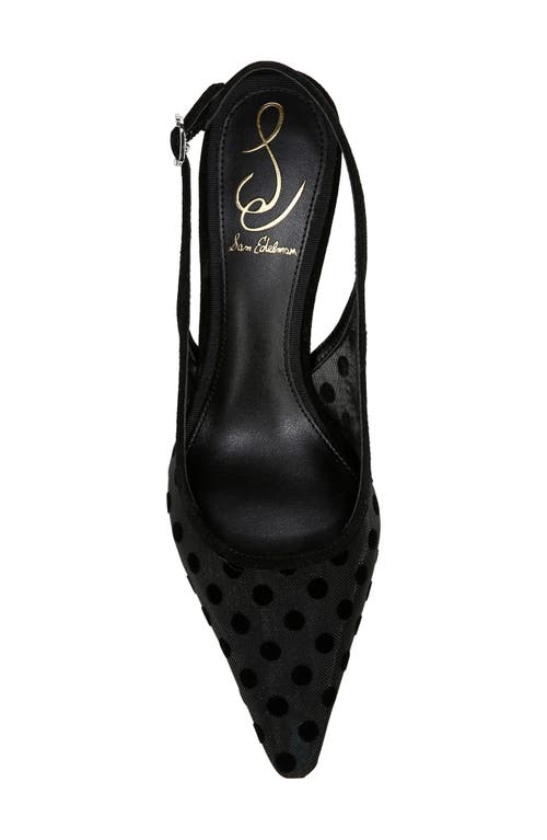 Shop Sam Edelman Bianka Slingback Mesh Pointed Toe Pump In Black/black