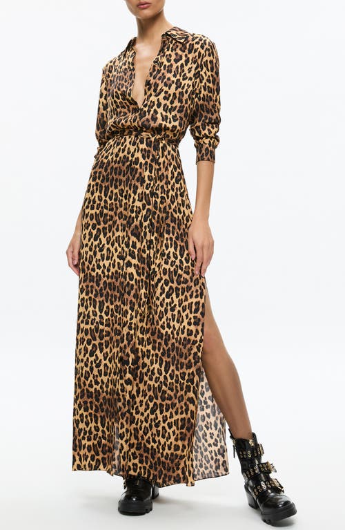 Shop Alice And Olivia Alice + Olivia Chassidy Leopard Print Long Sleeve Maxi Shirtdress In Spotted Leopard Dark Tan