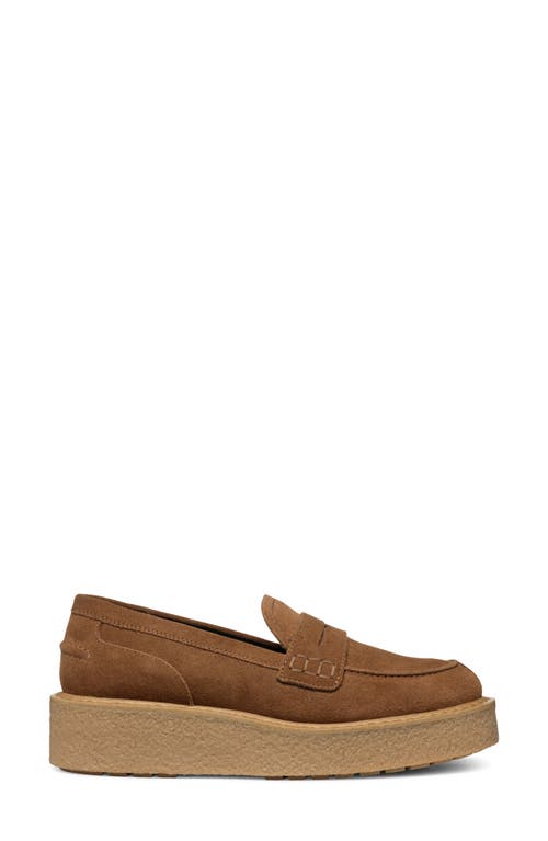 Shop Geox Elidea Platform Loafer In Dark Camel