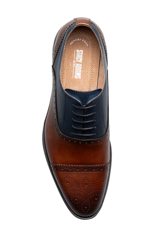 Stacy Adams Reynolds Cap Toe Oxford In Brown/ Navy