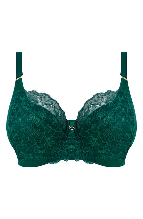 Shop Elomi Brianna Underwire Strappy Plunge Bra In Rainforest