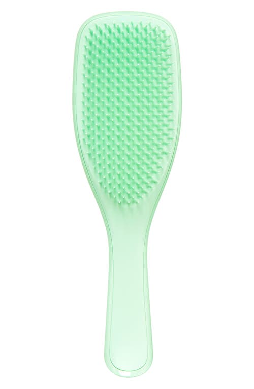 EAN 5060630040543 product image for Tangle Teezer Ultimate Detangler Hairbrush in Mint at Nordstrom | upcitemdb.com