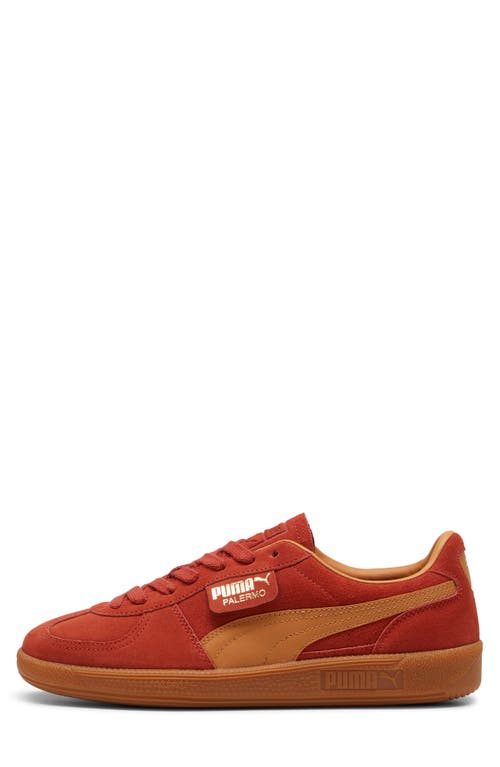 Shop Puma Palermo Sneaker In Mars Red-caramel Latte-gum