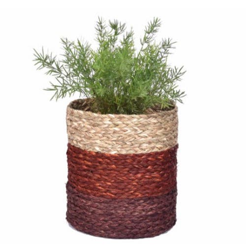 Kadam Haat Sabai Plant Holder / Basket In Brown