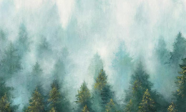 Icanvas Misty Forest By Julia Purinton Canvas Wall Art In Misty Forest
