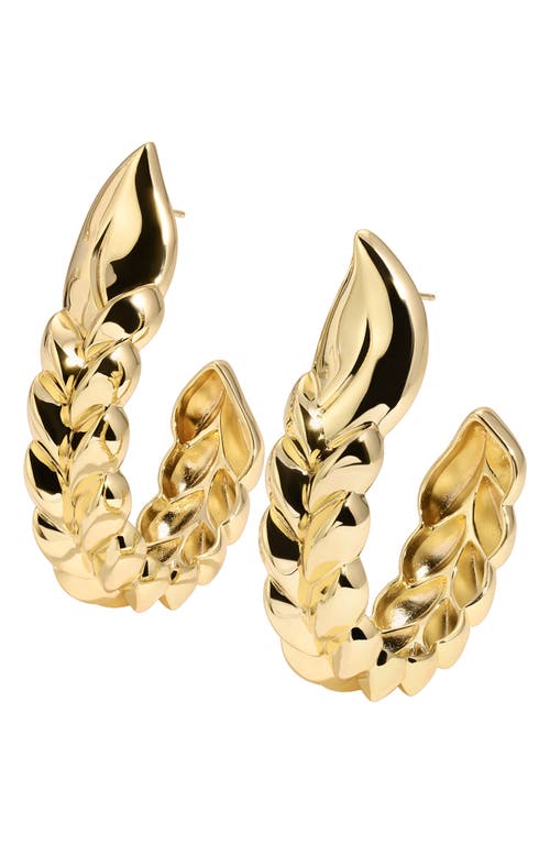 Frida Large Braided Hoop Earrings in Gold