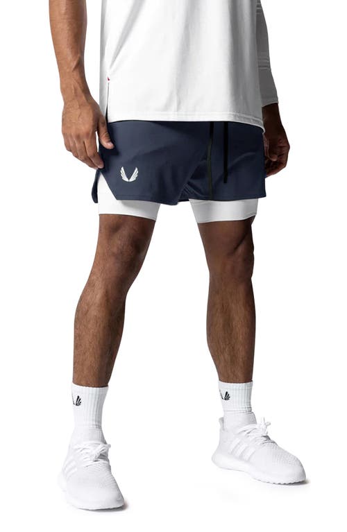 ASRV Silver-Lite 2.0 Performande Liner Shorts in Navy Wings/White at Nordstrom, Size Large