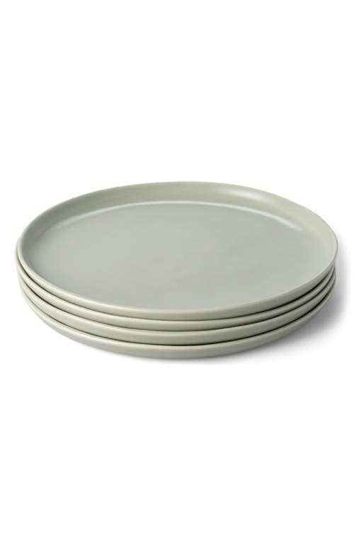 Fable The Set of 4 Salad Plates in Beachgrass Green 