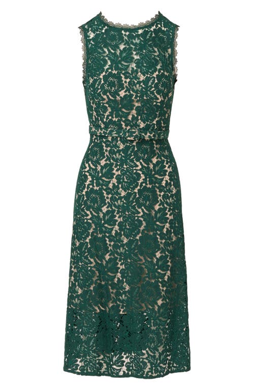 ADRIANNA PAPELL ADRIANNA PAPELL BELTED SLEEVELESS LACE MIDI DRESS