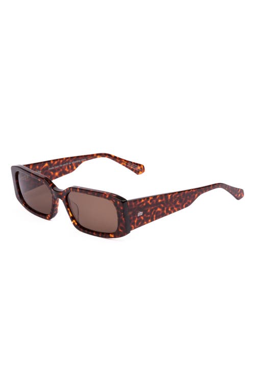 Shop Sito Shades Inner Vision Polar 52mm Rectangle Sunglasses In Cheetah/brown Polar