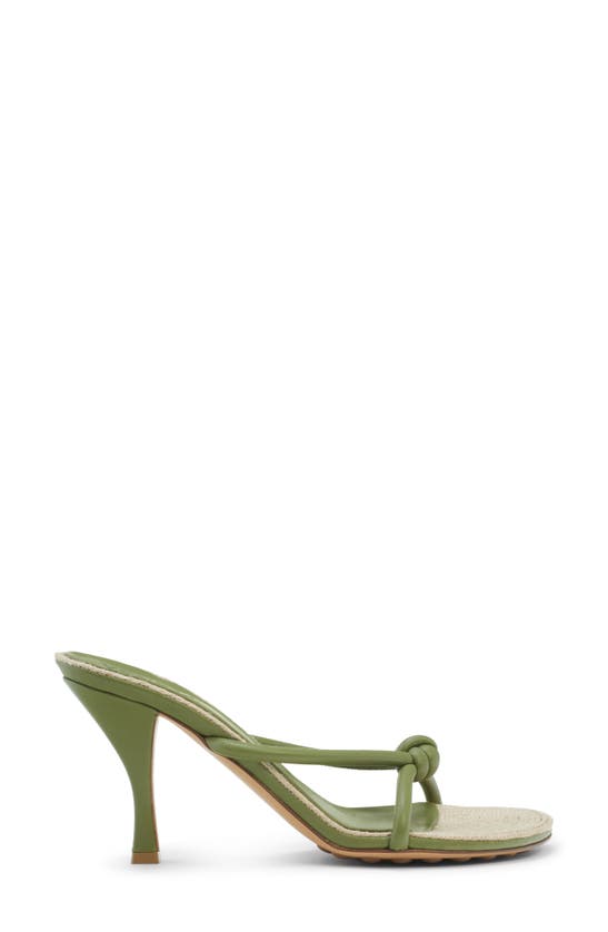 Shop Bottega Veneta Blink Slide Sandal In Tea Leaf-cane Sugar