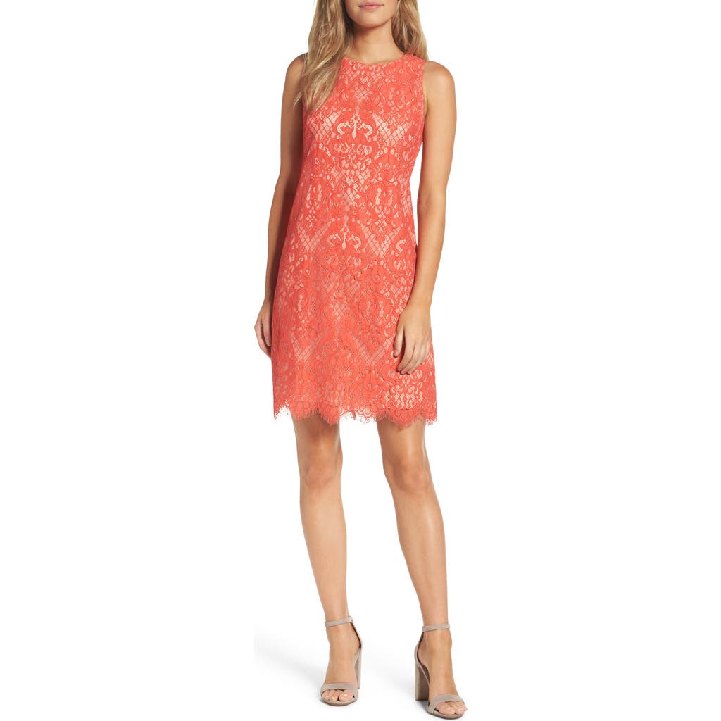 Eliza J Lace Shift Dress in Coral