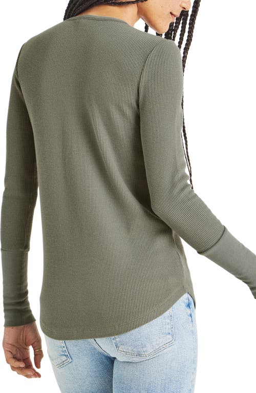 SPLENDID SPLENDID FOREVER THERMAL KNIT HENLEY 