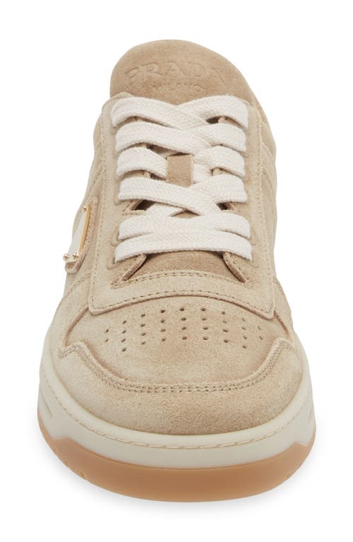 Shop Prada Downtown Sneaker In Ecru