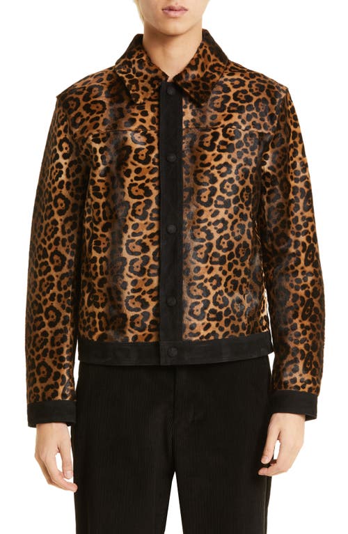 AMI PARIS Leopard Print Genuine Calf Hair Snap-Up Jacket in Fawn/219