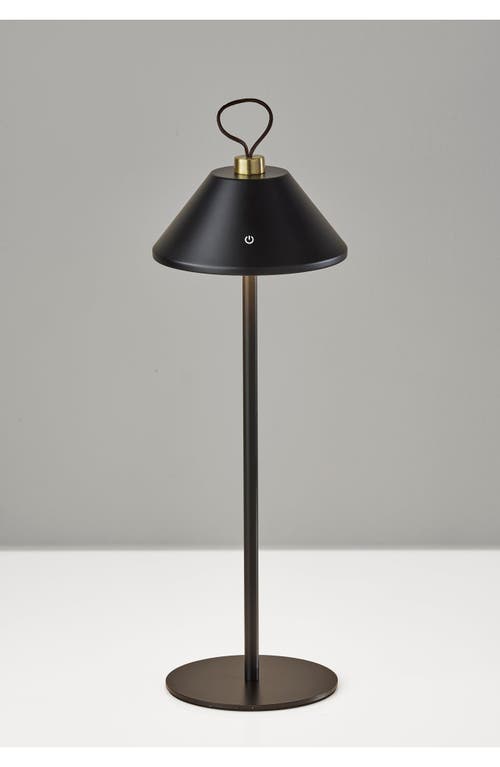 Adesso Lighting Danny Cordless Led Lamp In Black/antique Brass