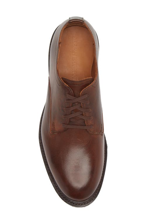 Allen Edmonds Trevor Derby In Brown
