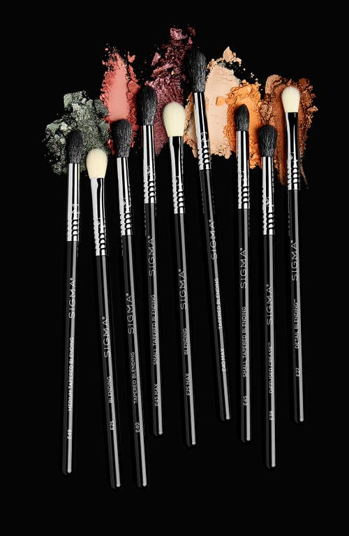 Shop Sigma Beauty Deluxe Blending Brush Set $161 Value In No Color