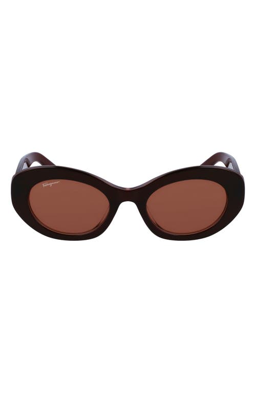 Ferragamo Logo Acetate Oval Sunglasses In Brown/nude