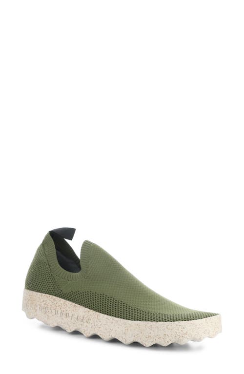 Clip Slip-On Sneaker in Olive Recycled Knit
