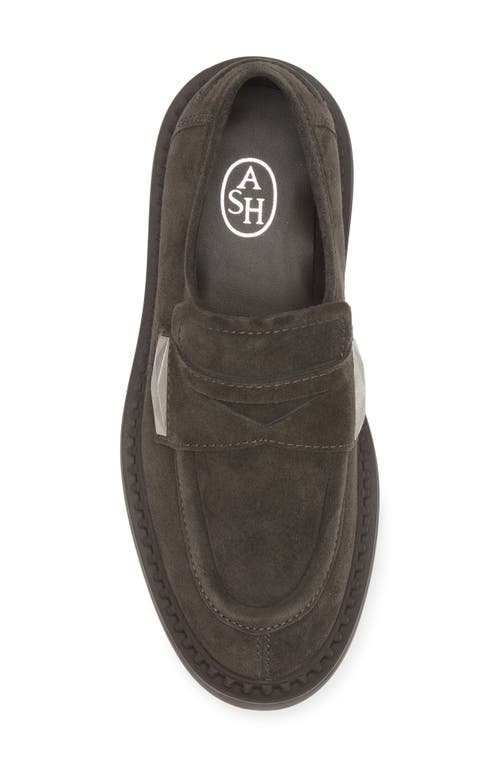 Ash Medusa Loafers In Gunmetal Suede In Bistro