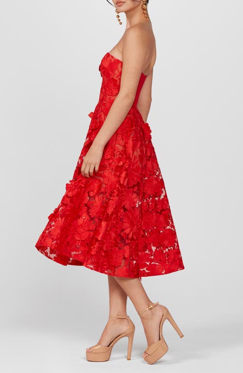 Shop Helsi Florence Floral Appliqué Strapless Midi Dress In Poppy