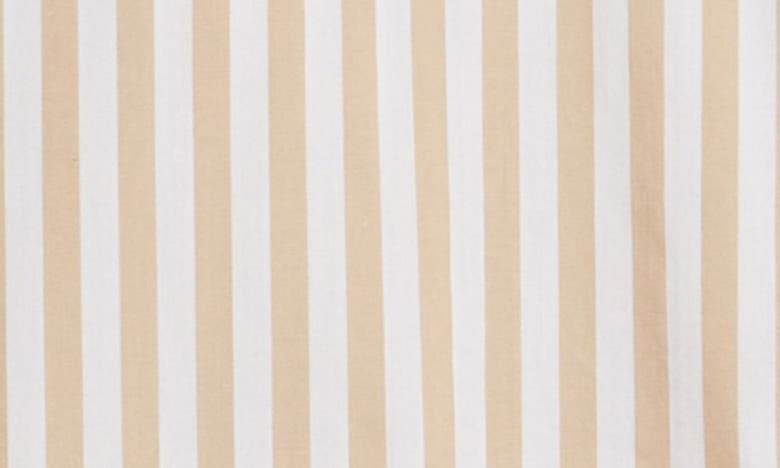 Shop Tahari Asl Stripe Button-up Shirt In Sand White