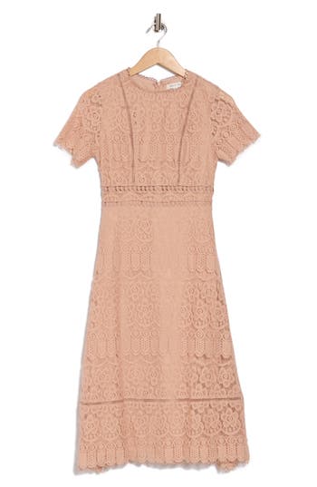 August Sky Scalloped Lace Midi Dress In Light Khaki