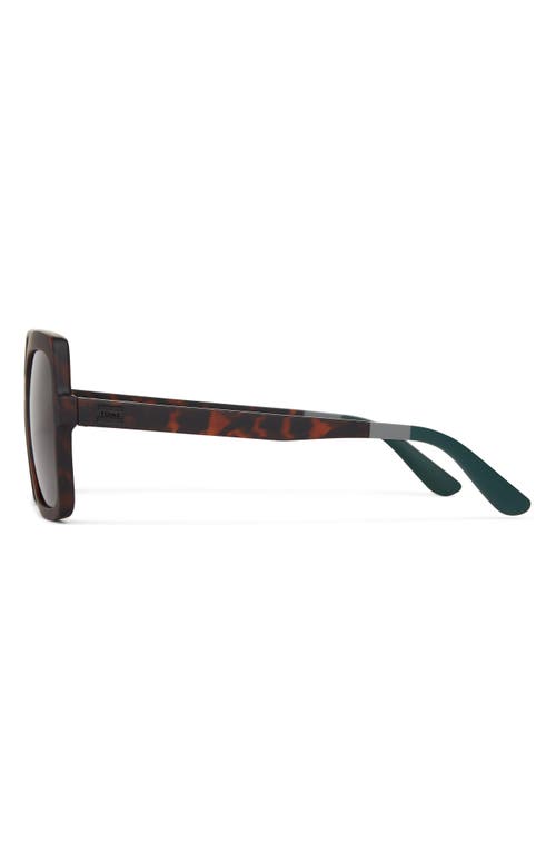 Toms Athena 56mm Square Sunglasses In Matte Blonde Tortoise