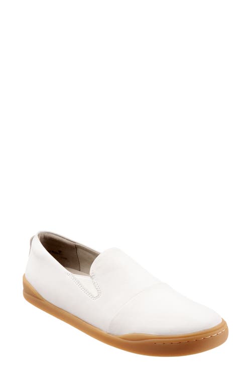 SoftWalk Alexandria Sneaker Leather at Nordstrom
