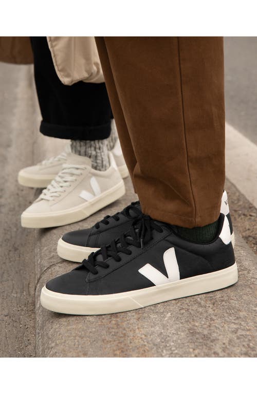 Shop Veja Gender Inclusive Campo Sneaker In Black/white