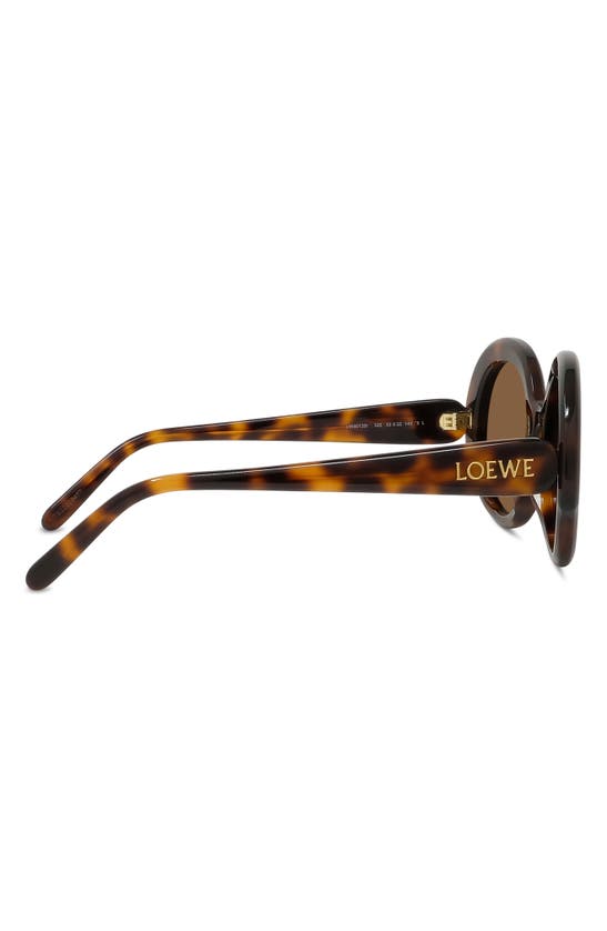 Shop Loewe Thin 52mm Round Sunglasses In Dark Havana / Brown