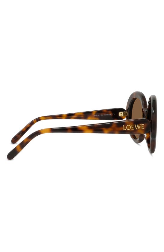 Loewe Thin 52mm Round Sunglasses In Dark Havana / Brown