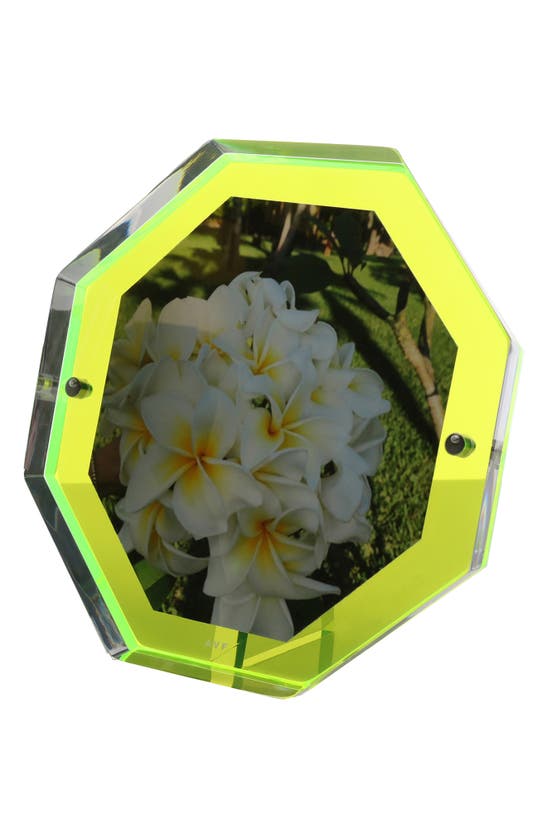 Click to view more detailed imagery on our partner's website Alexandra Von Furstenberg Snap Bolt Picture Frame In Green