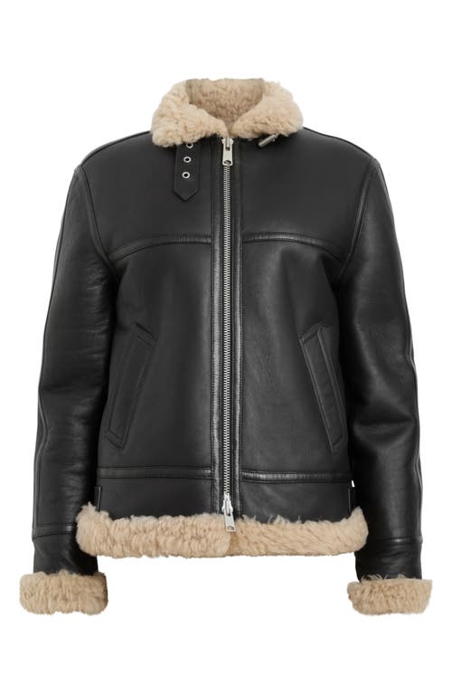 Shop Allsaints Lorel Leather & Genuine Shearling Flying Jacket In Black