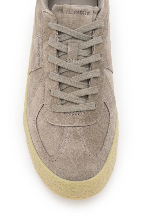 Shop Allsaints Jaimee Sneaker In Taupe Grey