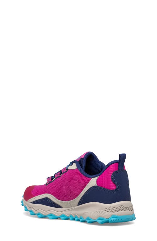 Saucony Peregrine 12 Shield Water Repellent Hiking Sneaker In Navy/pink