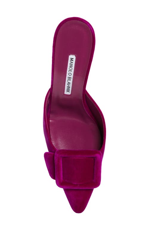 Shop Manolo Blahnik Maysale Buckle Pointed Toe Mule In Purple