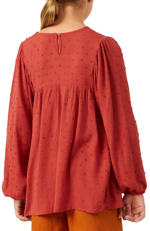 Hayden Girls Kids' Embroidered Long Sleeve Top In Rust