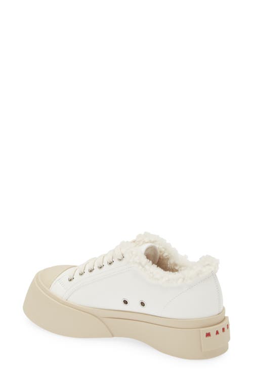 Shop Marni Pablo Genuine Shearling Lined Low Top Sneaker In White Combo